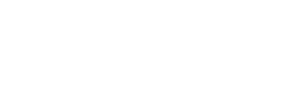 Camel ADV