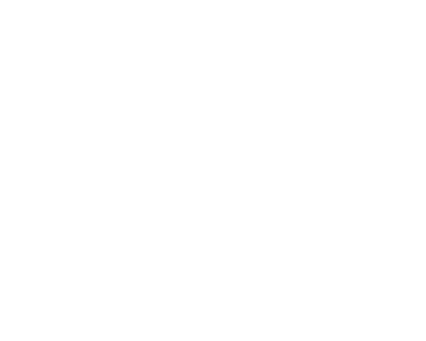 LV8