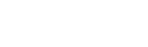 RAM Mounts